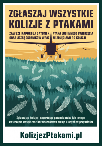 Samolot na tle zachodzącego słońca, za którym lecą pióra.